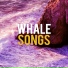 Whale Sounds
