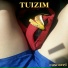 Tuizim