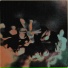 Ladislao busel