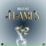 Mally IVS