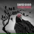 David Gogo