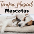Thiago Mascotas