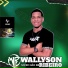 Wallyson Ribeiro