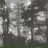 Norman Westberg