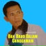 Bambang Zalmon