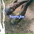 Trippy Joe