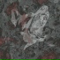 Stvrfire
