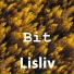 lisliv