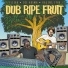 Elijah Joe Ariwa Raging Fyah
