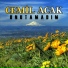 Cemil Acak
