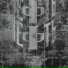 SAPA13