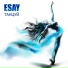 ESAY