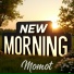 Momot