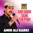 Amir Ali Sarki