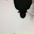Voi