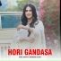 Rahul Rathi feat. Shamsher Julana