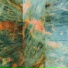 Polygonia