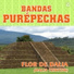 Bandas Purépechas