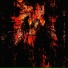 Hikigaya, MXRDERDEAD