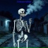 Crip1