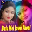 Kaleshwar Kumar Bediya, Sunaina Kachhap