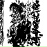 Hxmr, LEBENSSAFT