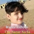 Wajeed Bashoori