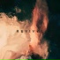 Limb8