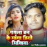 Nitish Halchal