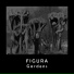 Figura