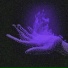 6N31ONE