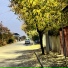 Tleukhan