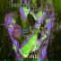 Hareeceen feat. Libèrtee