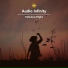 Audio Infinity