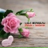 Lule Merkulaj
