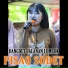 Er Panji