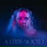 A Little Sound, Dr Meaker