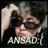 Ansa Lmc