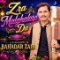 Bahadar Zaib