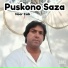 Noor Zaib