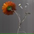 Basile3 feat. Daisy Ray