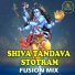 Bhavya Tumuluru