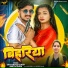 Dharamveer Singh, Ankita Singh