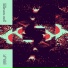 Noise Parfumerie