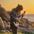JFGroove