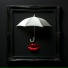 lyam, lucille