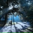 dreamdealer