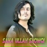Sanaullah Showqi