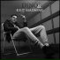 DINO13