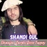 Shandi Gul
